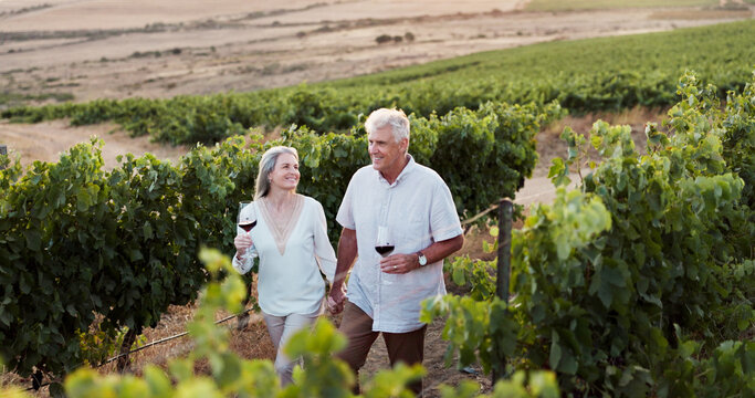 Love, walking and holding hands with old couple in vineyard for romance, anniversary date and bonding. Happiness, retirement and wine with senior man and woman at winery for smile, relax and vacation