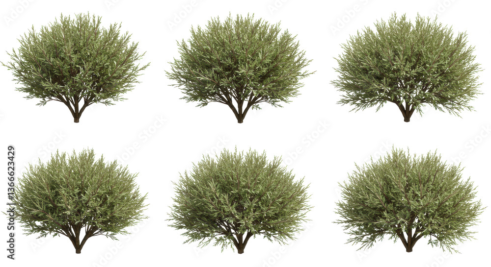 Poster a grid of six green bushes with a pixelated background showing variations in lighting and shadows ef