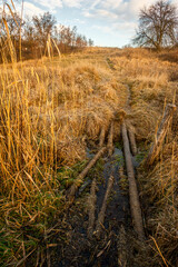 A clearing with tall yellow grass, through which an old wooden bridge goes, against the background of a bright sunset sky with sun and clouds