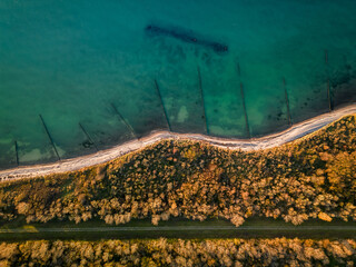 Aerial view of a stunning coastline with turquoise waters and golden autumn trees. A perfect blend of land and sea, showcasing the beauty of untouched nature.