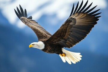 Bald Eagle Soaring Against a Bright Sky Showcases Freedom and Power