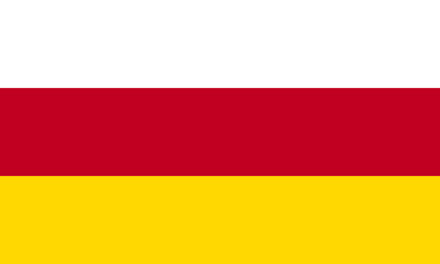 Flag of Germany displayed prominently during a cultural event celebrating German heritage in a vibrant setting