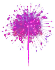 Obraz premium PNG Colorful firework fireworks purple night.