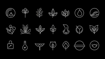 Simple minimalist white line illustrations of natural organic elements on black