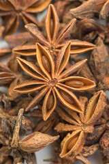 Illicium verum star anise eight horns with seeds for cooking and medicinal use vertically