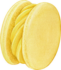 Watercolor hand drawn realistic macaron