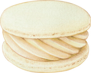 Watercolor hand drawn realistic macaron