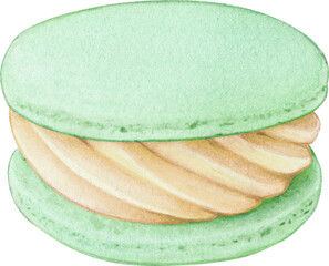 Watercolor hand drawn realistic macaron