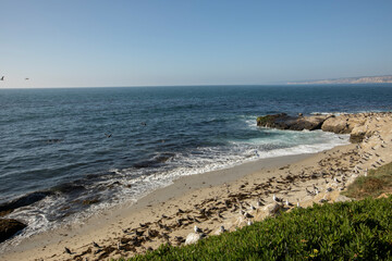 Afternoon view of waves crashing on to the coastline of La Jolla, San Diego, California, USA.