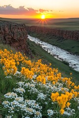 Fototapeta premium Wildflowers Sunset Canyon.