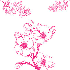 Minimal and elegant flower design eps 