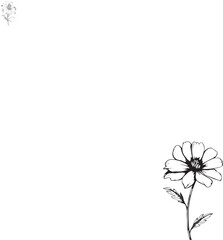 Elegant blackflower design silhouette eps vector