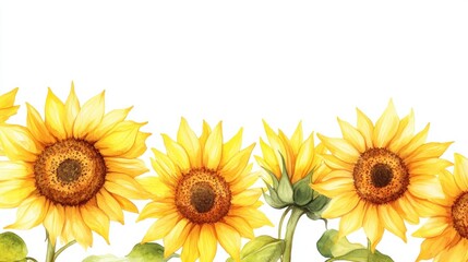 Watercolor sunflowers border