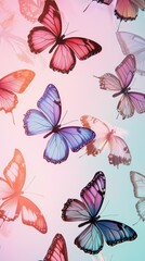 Obraz premium Elegant butterfly patterns on soft gradient backdrops for a natural vibe.