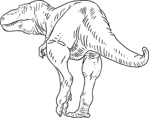 trex © Junior 