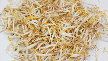 Fresh Bean Sprouts on White