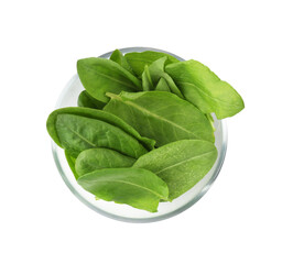 Fresh green sorrel leaves in bowl isolated on white, top view
