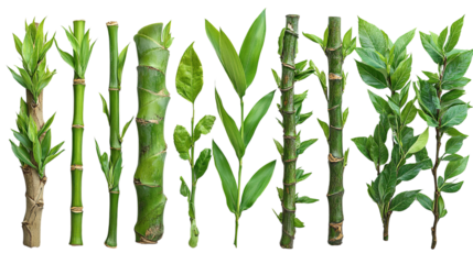 You've reached our limit of messages per hour Please try again later