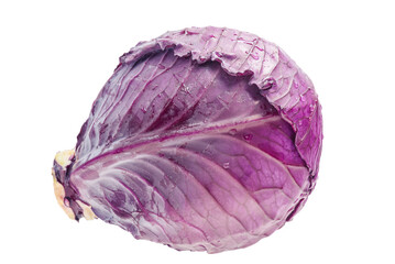 Red cabbage isolate. Vegetable, purple cabbage.