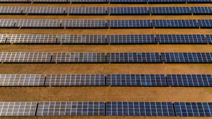 Top view of rows of solar panels