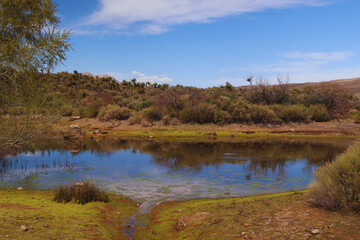 A beautiful view of a pond in the desert