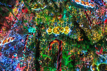 A Christmas tree with many lights and a bunch of candy canes