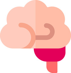 brain Illustration on a white background.