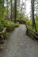 hiking trail in idyllic forest looking at mountain in summer at Thetis Lake Regional Park British Columbia Canada