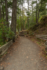 hiking trail in idyllic forest looking at mountain in summer at Thetis Lake Regional Park British Columbia Canada