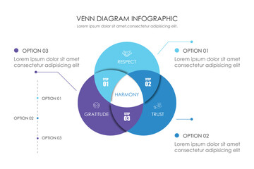 Infographic Venn diagram chart template for business 3 parts, options, presentation with venn diagram elements vector illustration.
