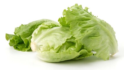 Fresh green cabbage and lettuce isolated on a white background.