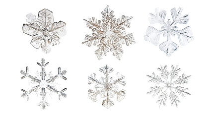 Vector set of floral elements with snowflakes and winter decorations for a festive holiday design