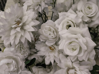 The abstract soft sweet white flower background from daisy flowers