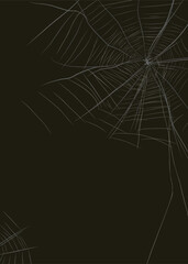Spider web incricate golden decoration black grunge (20241102113432).eps