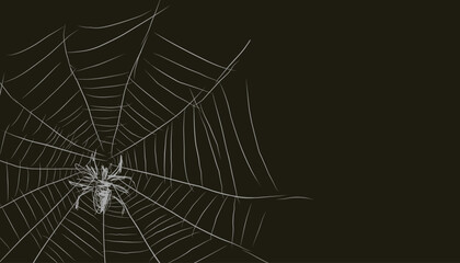 Fototapeta premium spiderweb (20241103075930).eps