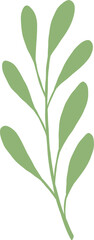 Stylized Leaf or Botany Vector Element 
