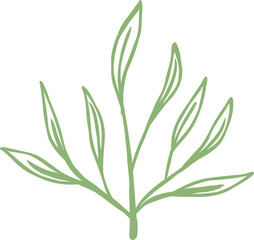 Fototapeta premium Stylized Leaf or Botany Vector Element 