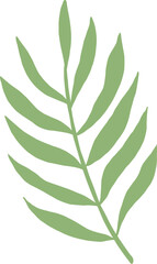 Stylized Leaf or Botany Vector Element 