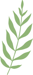 Stylized Leaf or Botany Vector Element 