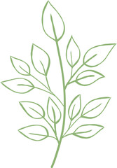 Stylized Leaf or Botany Vector Element 