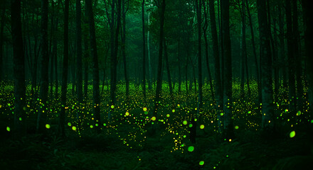 Glowing Fireflies In Dark Forest At Night
