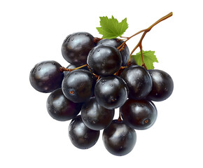 Fresh Grapes with Leaves Isolated on Transparent Background