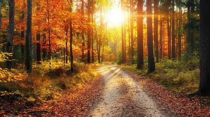 Obraz premium Lush temperate forest in early autumn, colorful leaves in red, orange, and yellow hues, sunlit path, tranquil woodland scene