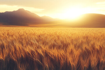 Golden wheat field at sunset with distant mountains, a peaceful rural landscape