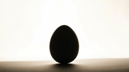 An Egg Appears Silhouetted Against A Bright White Background