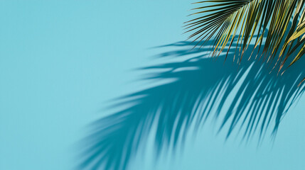 Palm tree shadow cast over bright blue background in summer style
