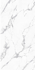 Classic White Marble Slab Natural Pattern
