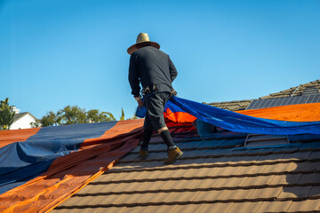 Eye level with a worker wearing a straw hat installing an orange and blue  fumigation tent on a...