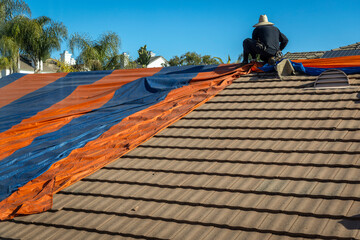 Eye level with a worker wearing a straw hat installing an orange and blue  fumigation tent on a...