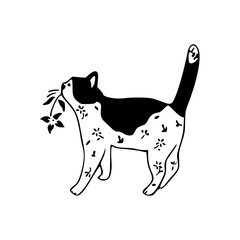 sweet cat holding flower in mouth